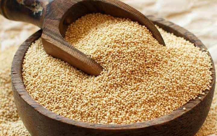 Amarnath Millet