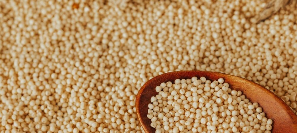 Proso Millet