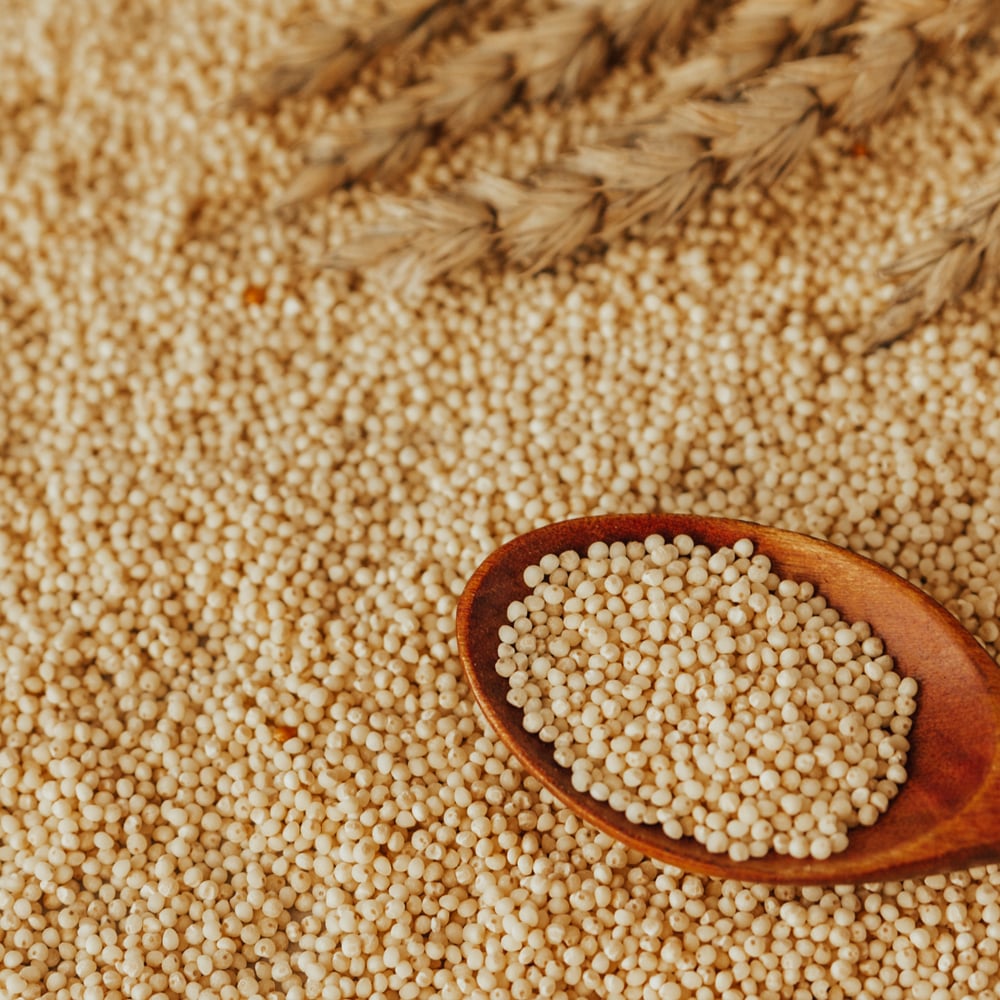 Proso Millet